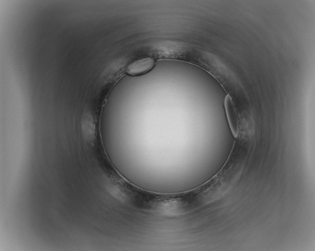 X0000113020456200909031235