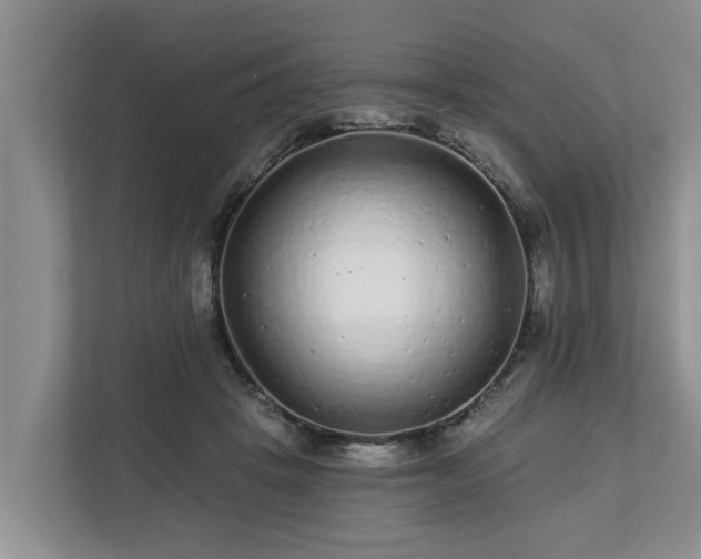 X0000113020457200909031235