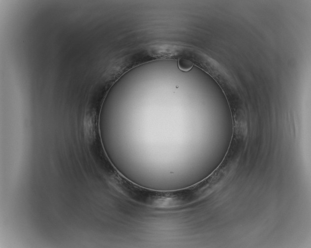 X0000113020460200909031235