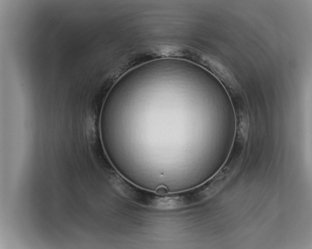 X0000113020461200909031235