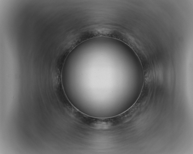 X0000113020464200909031235
