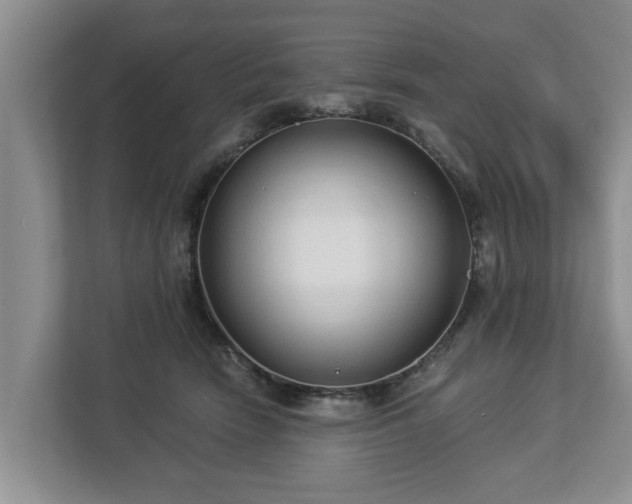 X0000113020466200909031235