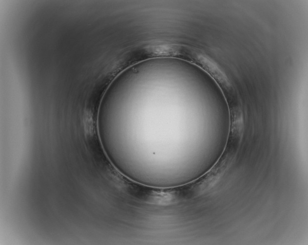 X0000113020469200909031235