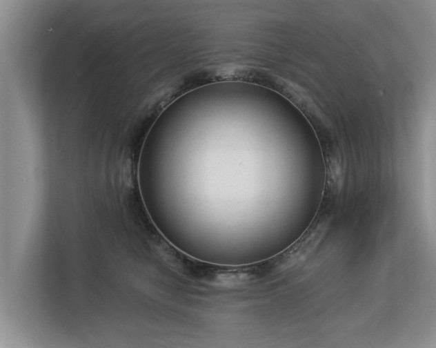 X0000113020470200909031235