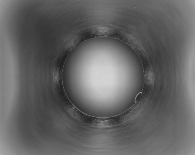 X0000113020472200909031235