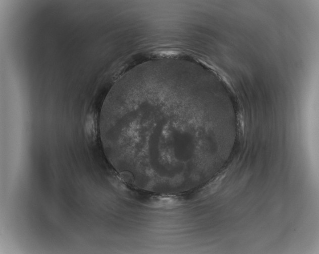 X0000113020475200909031235