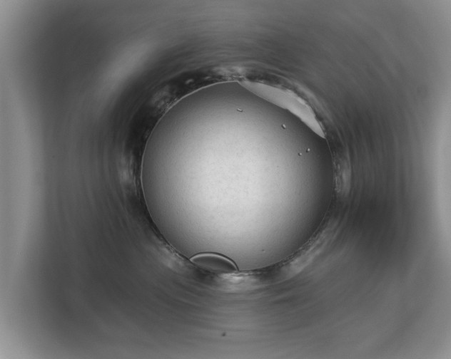 X0000113020477200909031235