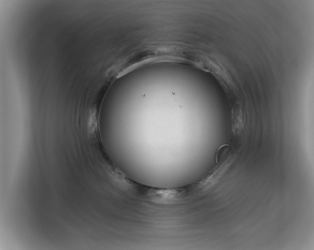 X0000113020478200909031235