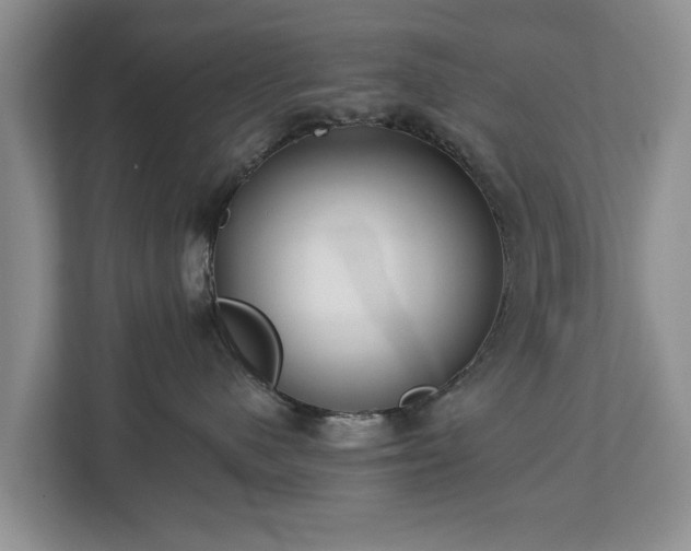 X0000113020480200909031235