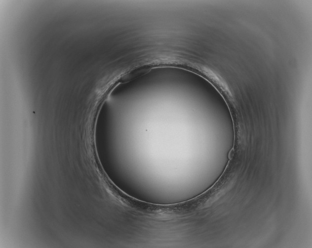 X0000113020481200909031234