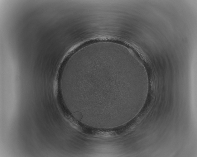 X0000113020488200909031234