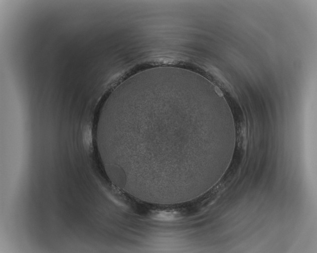 X0000113020500200909031234