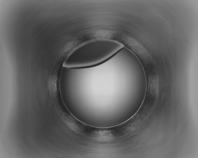 X0000113020501200909031234