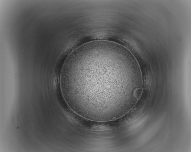 X0000113020503200909031234