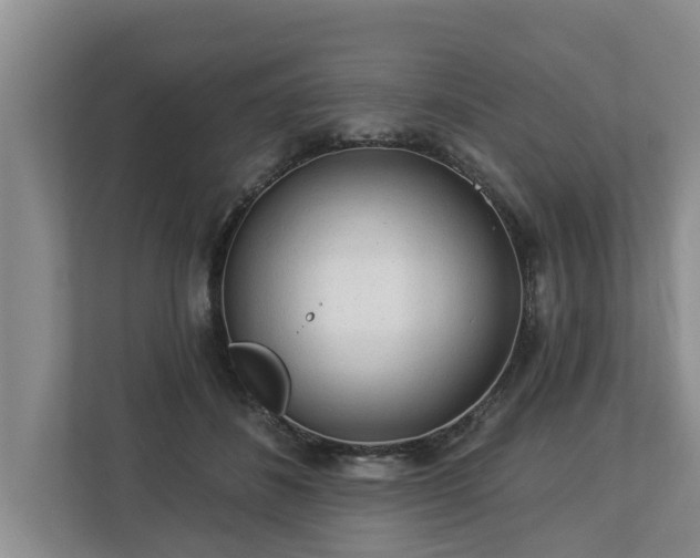X0000113020508200909031234