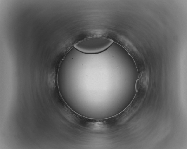 X0000113020509200909031234