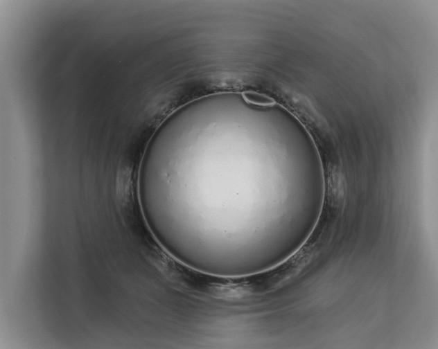 X0000113020511200909031234