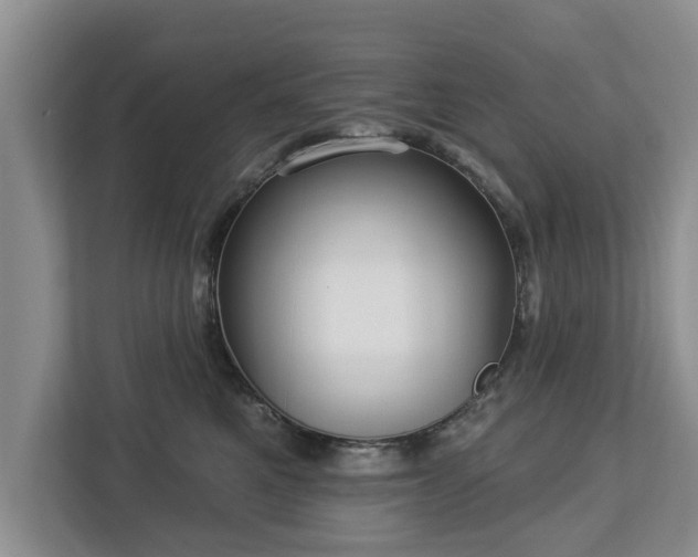 X0000113020521200909031234