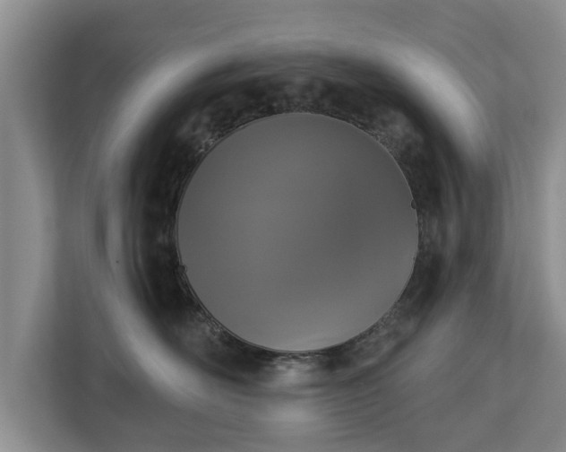 X0000113020526200909031234