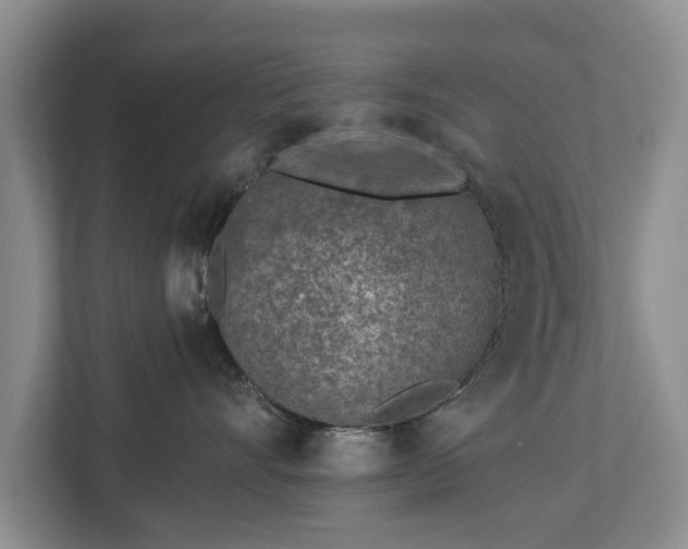 X0000113020528200909031234
