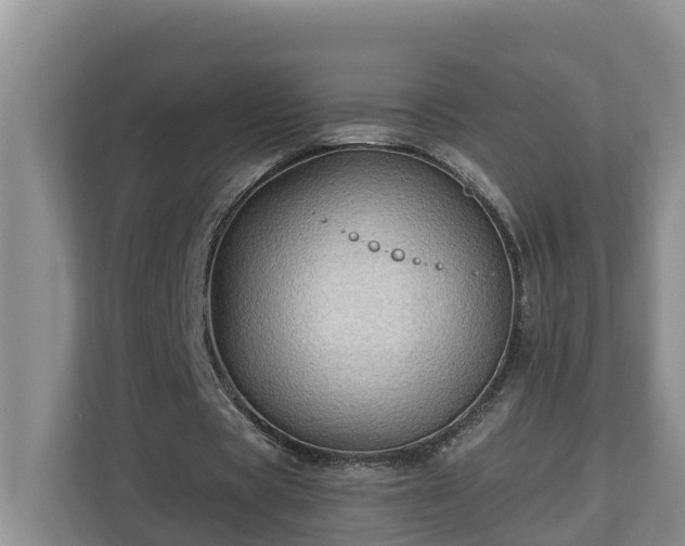 X0000113020529200909031233