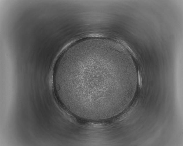 X0000113020531200909031233