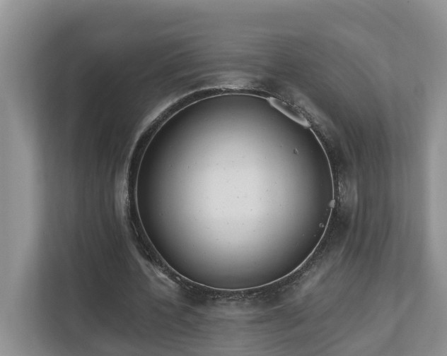 X0000113020532200909031233