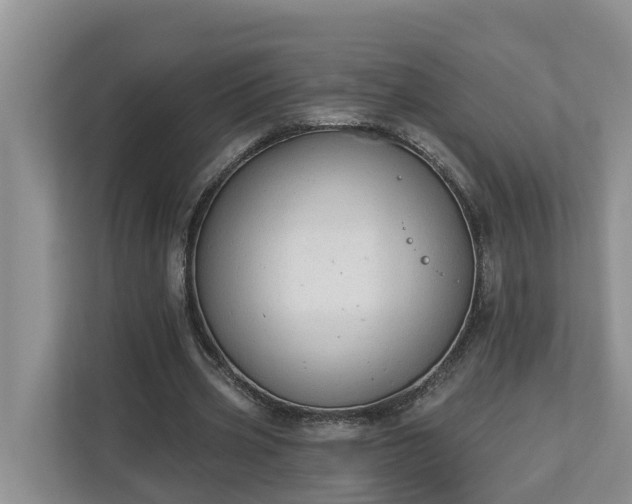 X0000113020533200909031233