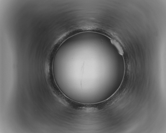 X0000113020539200909031233