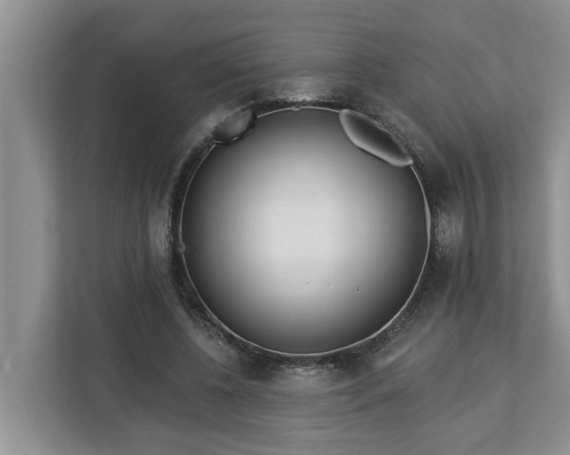 X0000113020540200909031233
