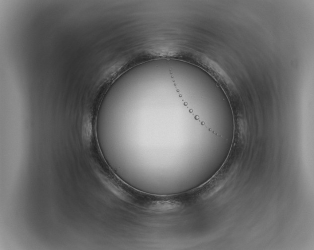 X0000113020541200909031233