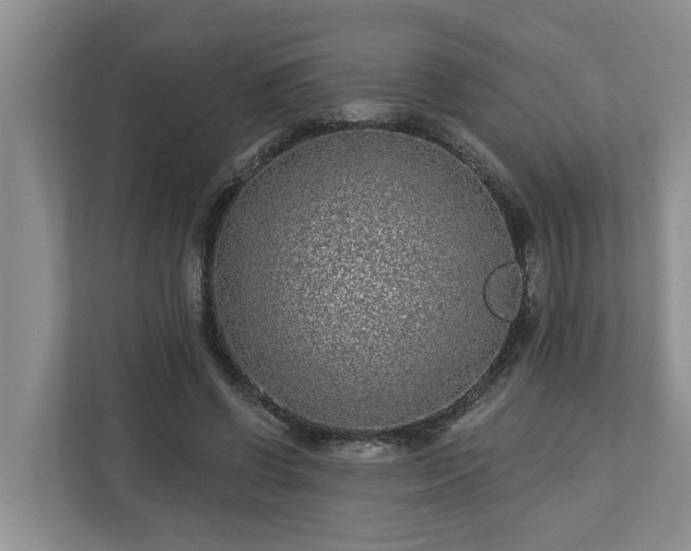 X0000113020542200909031233