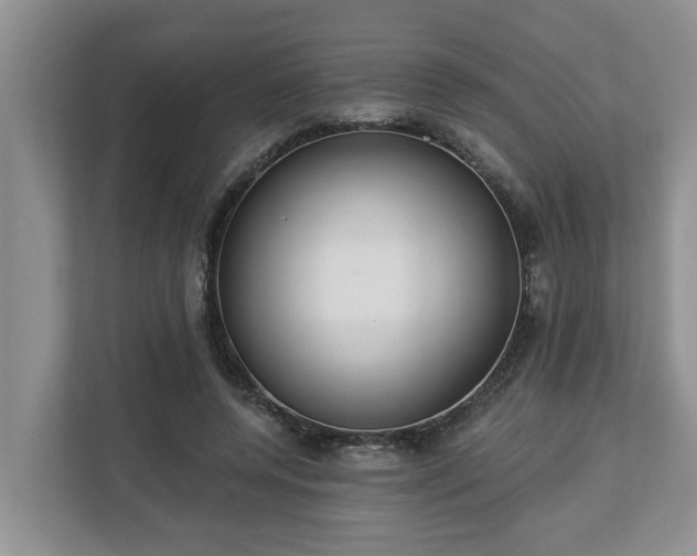 X0000113020544200909031233