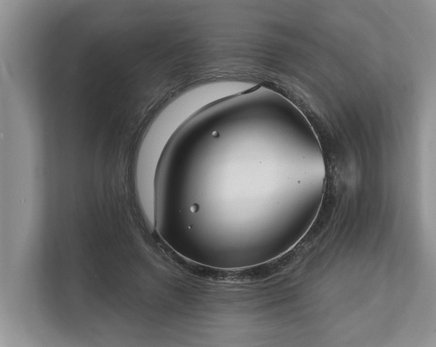 X0000113020546200909031233
