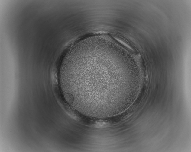 X0000113020547200909031233