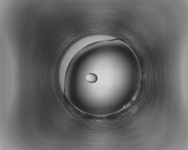 X0000113020548200909031233