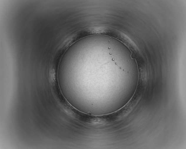 X0000113020549200909031234