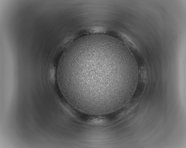 X0000113020550200909031234