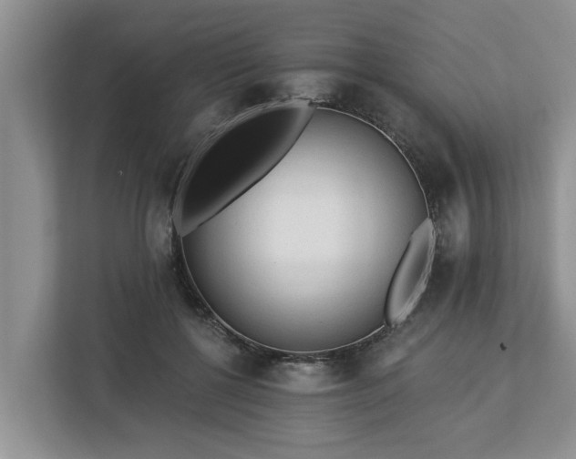 X0000113020552200909031234