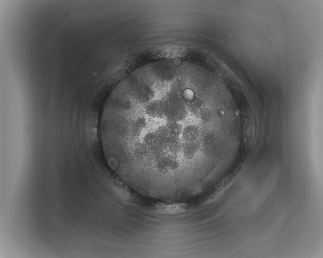 X0000113020553200909031234