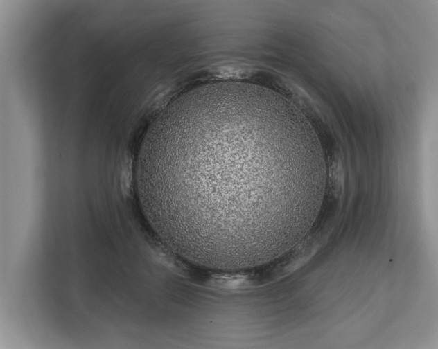 X0000113020554200909031234