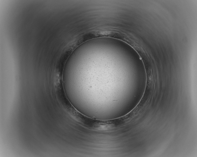 X0000113020555200909031234