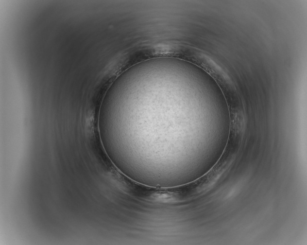 X0000113020557200909031234