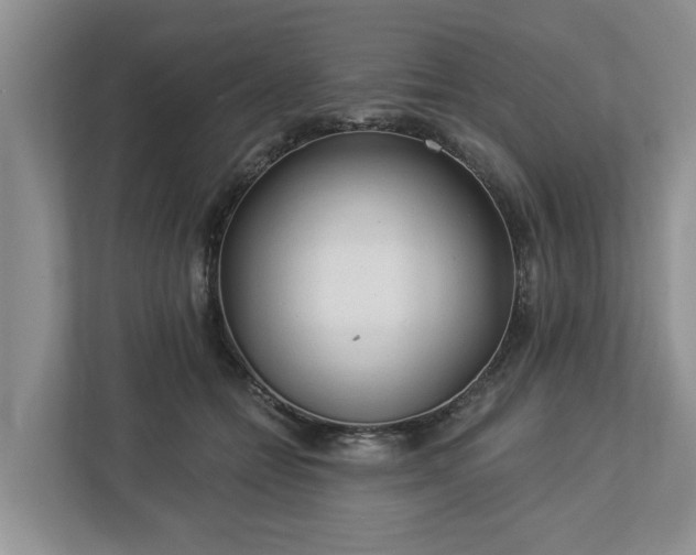 X0000113020558200909031234