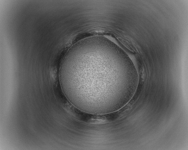 X0000113020559200909031234