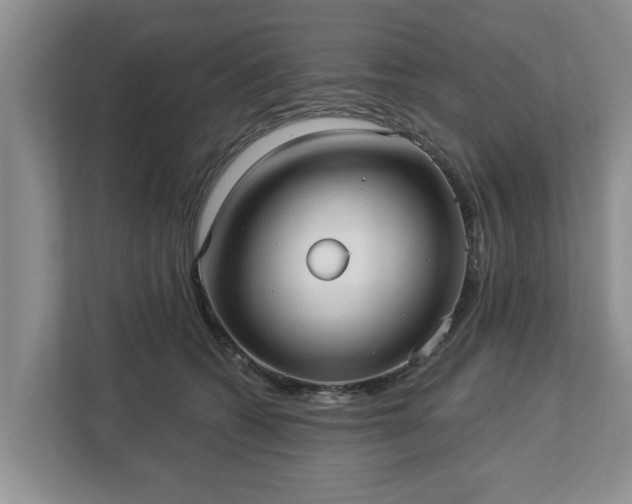 X0000113020562200909031234