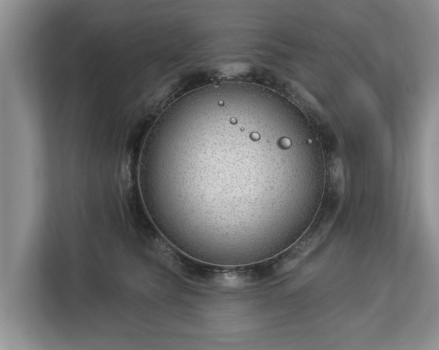 X0000113020565200909031234