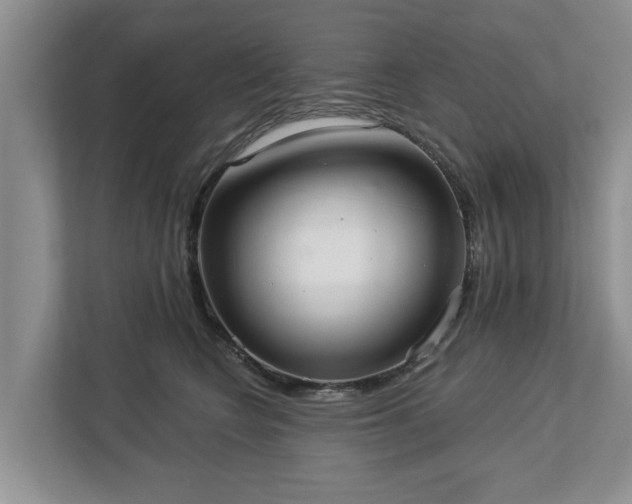 X0000113020566200909031234