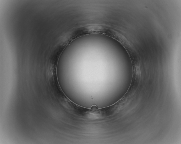 X0000113020567200909031234