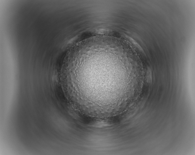 X0000113020569200909031234
